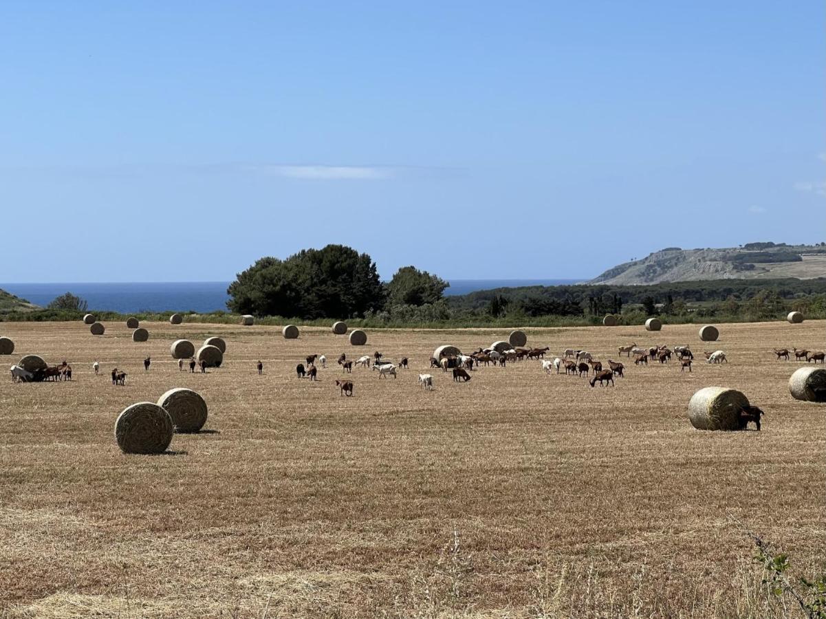 Le Capase Resort Salento Santa Cesarea Terme Εξωτερικό φωτογραφία