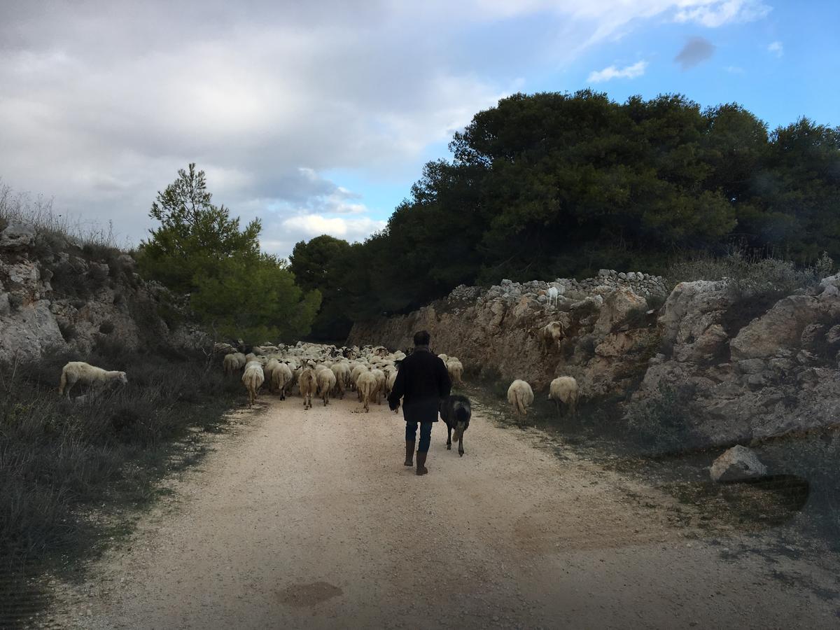 Le Capase Resort Salento Santa Cesarea Terme Εξωτερικό φωτογραφία